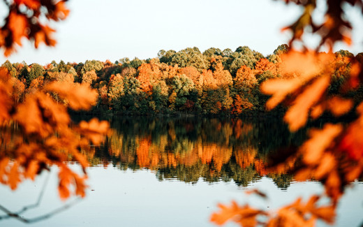 1484505 (a): :2560x1600